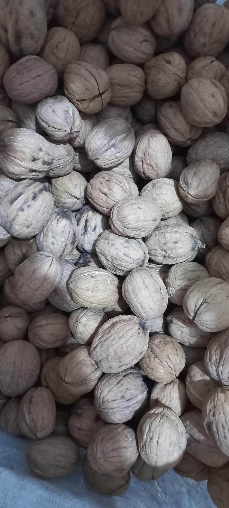 Öz Özgen karışık kuruyemiş çeşitleri - Vitamin deposu sağlıklı atıştırmalıklar